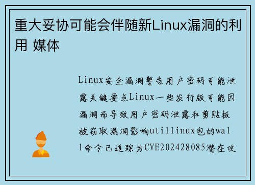 重大妥协可能会伴随新Linux漏洞的利用 媒体